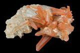 Natural, Red Quartz Crystal Cluster - Morocco #128061-1